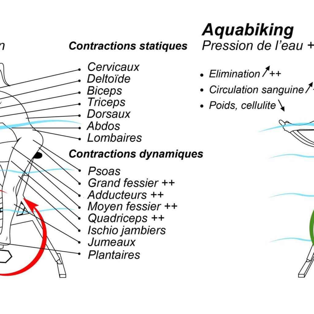 Sch Ma Aquabike V Lo De Pisicne Archim De Archimede Aquafitness