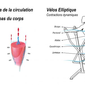 Schémas vélos elliptique - Archimède Jointec France